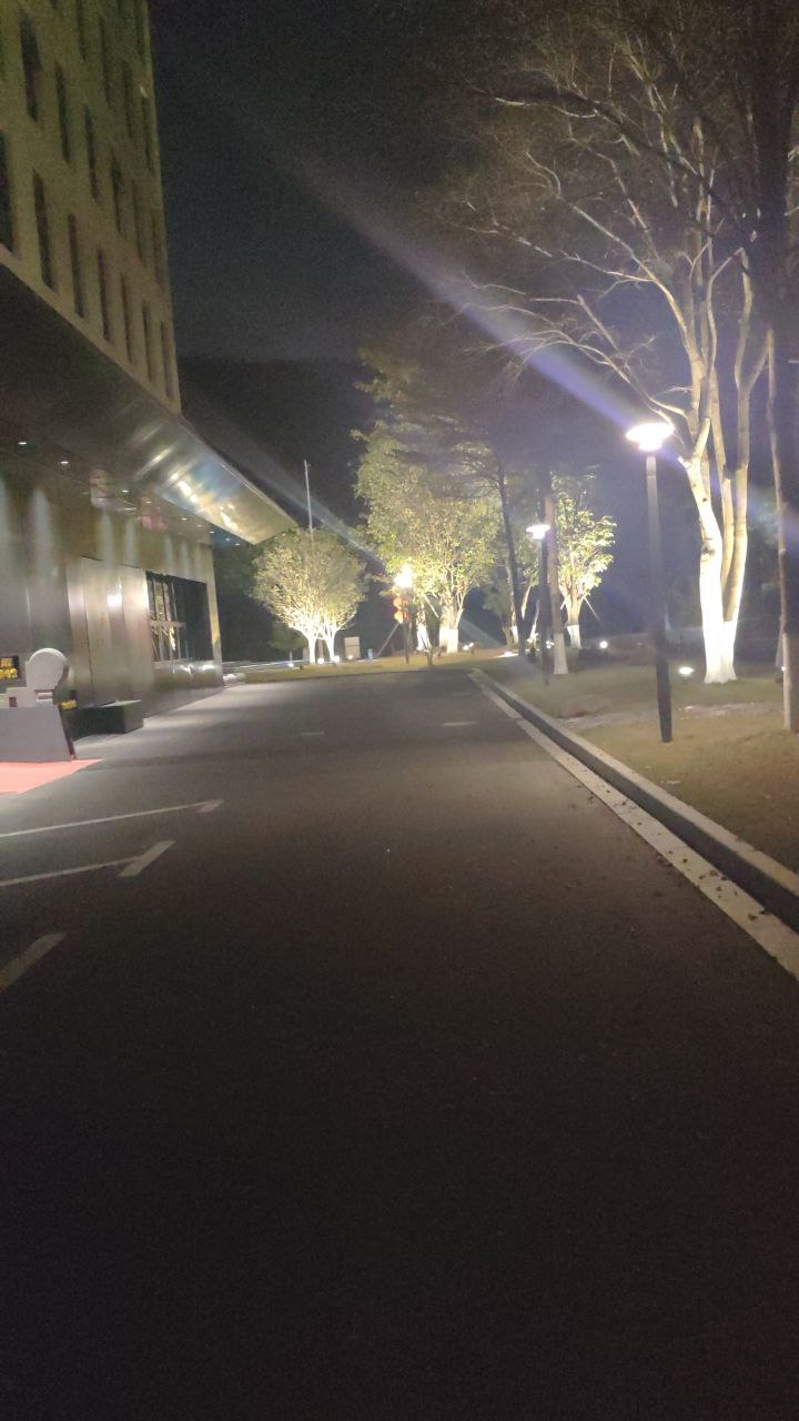 夜路
